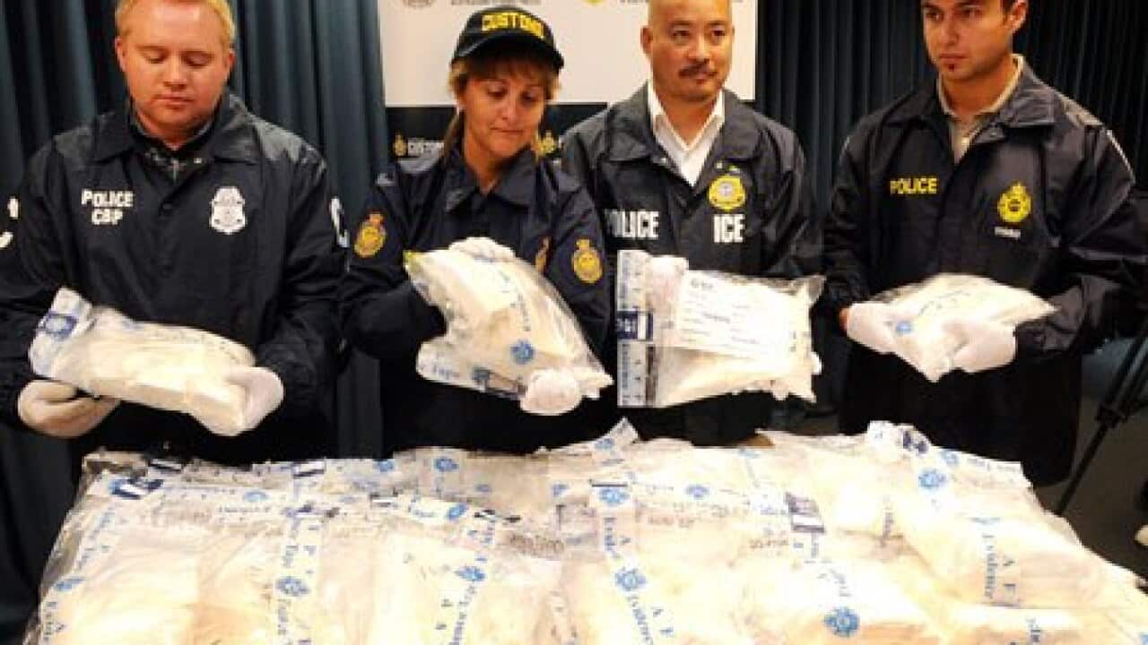 Cocaine Seizure