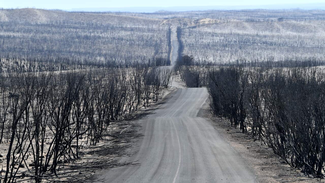 A general view of the damage done to the Flinders Chase National Park after bushfires swept through Kangaroo Island.
