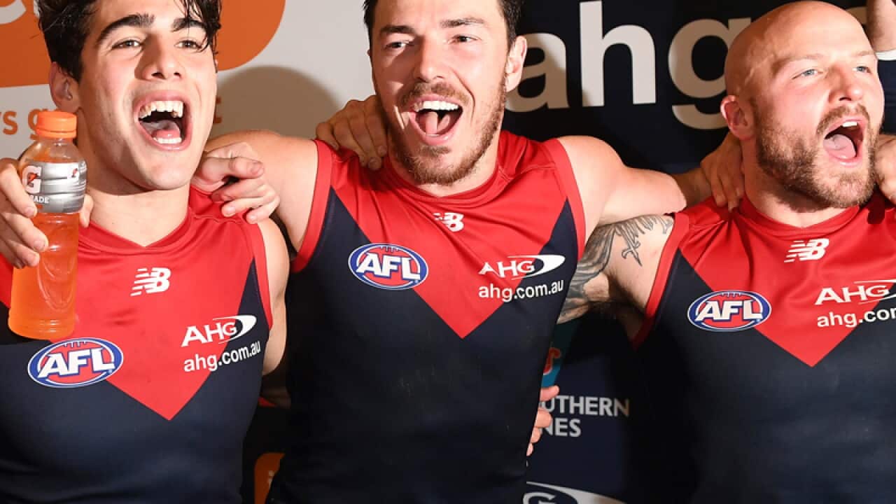 Melbourne Demons players