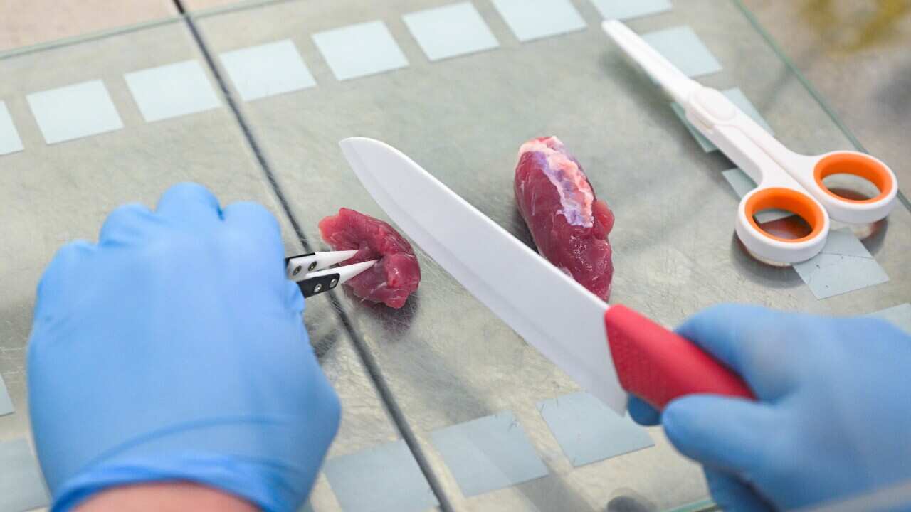 Meat without cows and pigs