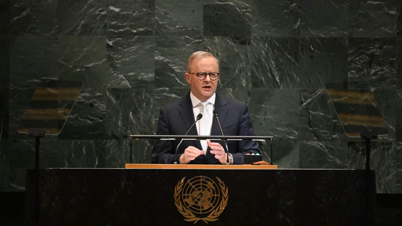 ANTHONY ALBANESE UNITED NATIONS