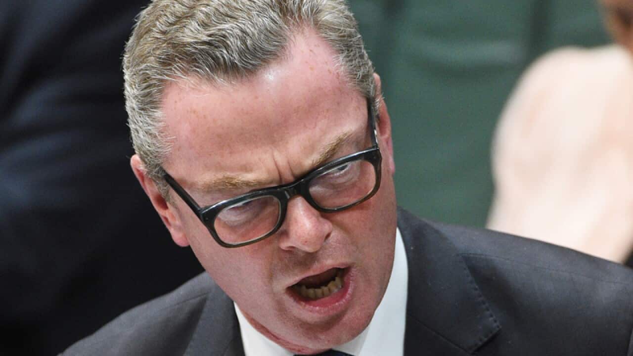 Senior Liberal Christopher Pyne