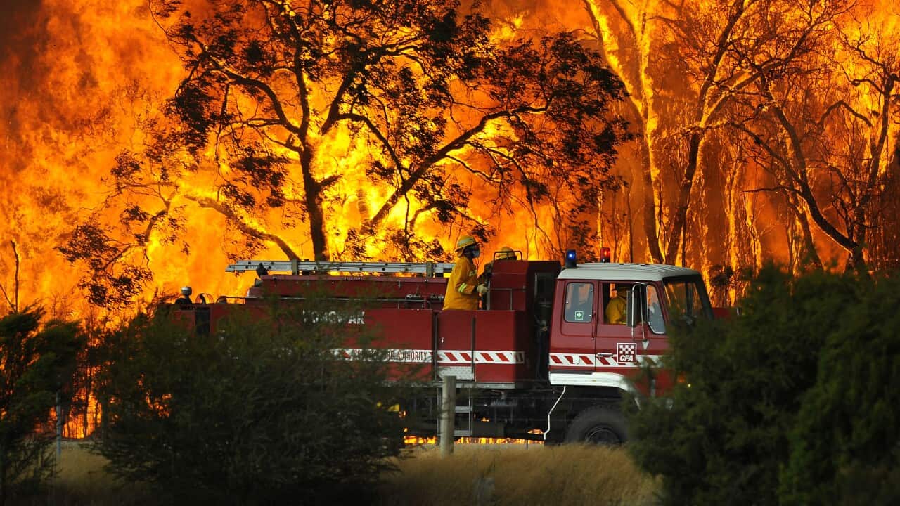 A Country Fire Authority (CFA) fire truck is pictured in front of flames while fighting a bushfire at the Bunyip State Forest near the township of Tonimbuk, Saturday, Feb. 7, 2009.