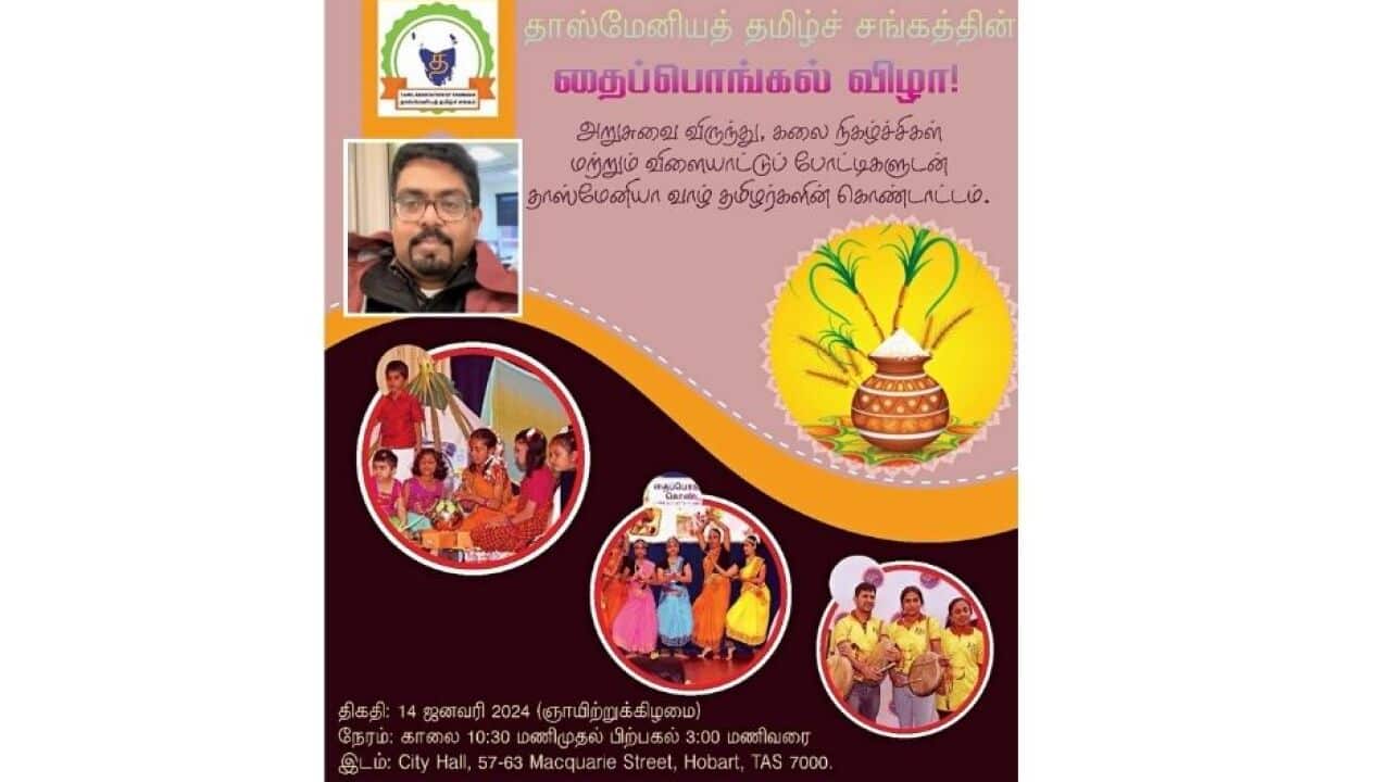 TASPONGAL.jpg