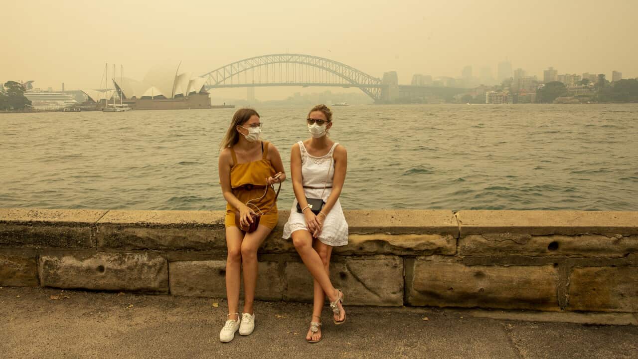Sydney has choked through weeks of haze and bushfire smoke.