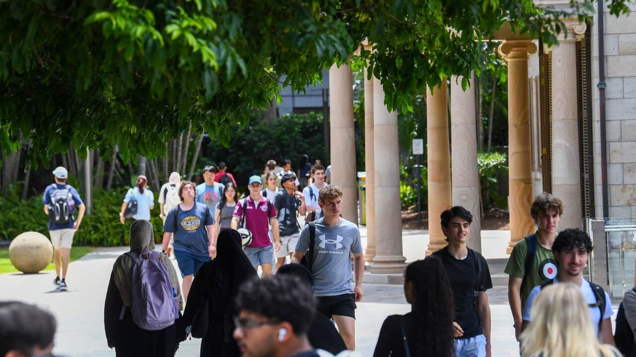 A group of students is walking past a building flanked by trees.