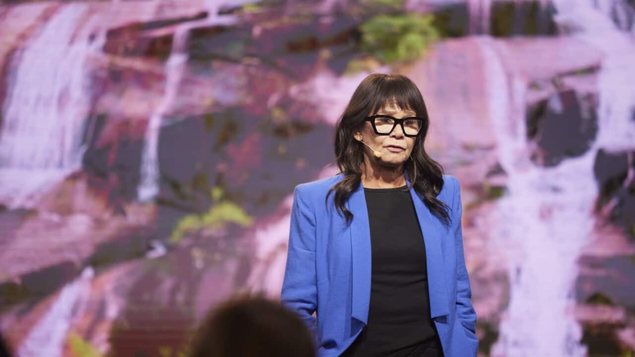 Dogsmith Rhoda Rhoda Roberts AO: The cultural warrior who changed the nation | SBS News