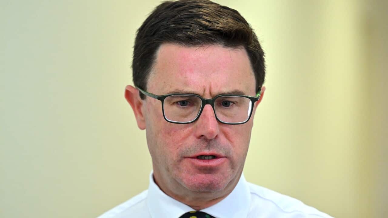 DAVID LITTLEPROUD PRESSER