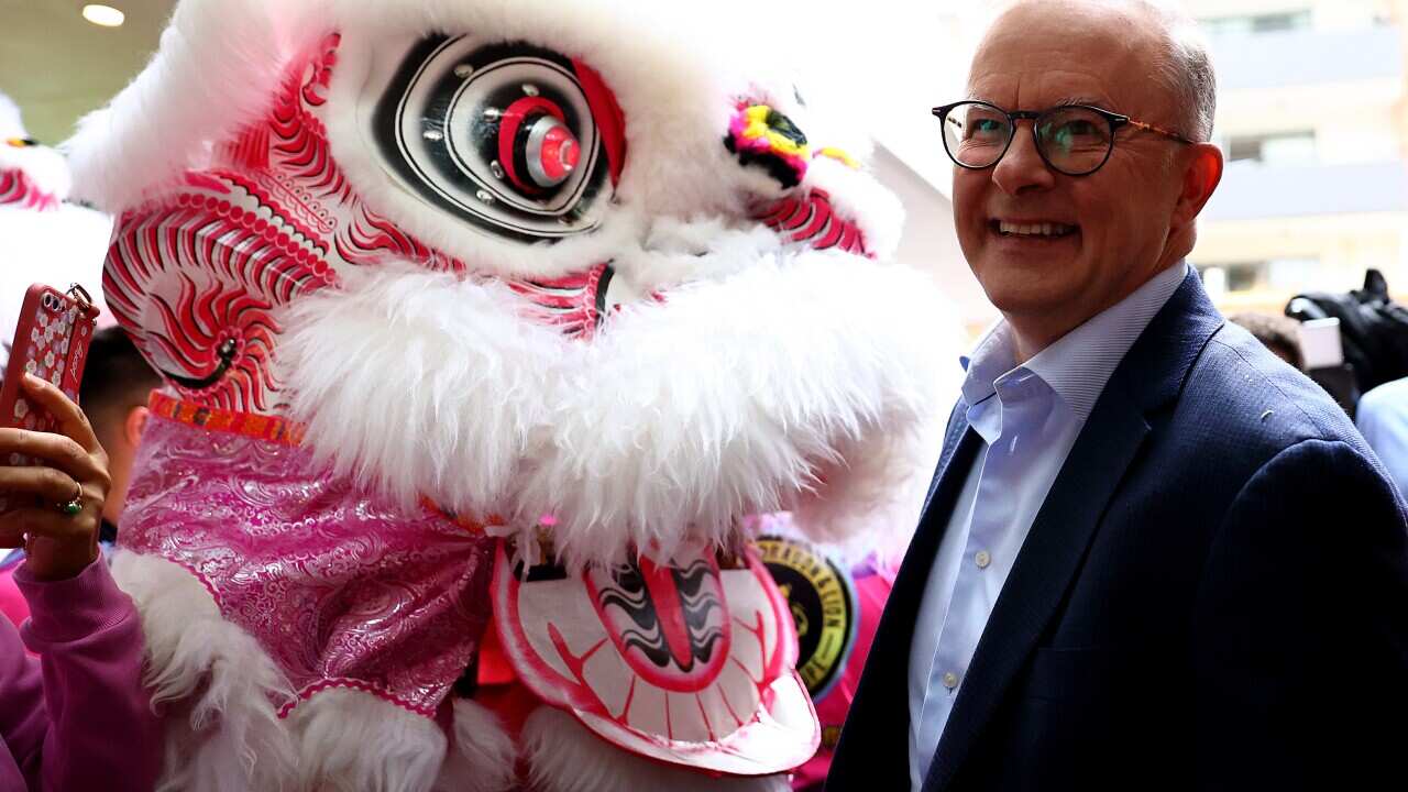 ANTHONY ALBANESE LUNAR NEW YEAR