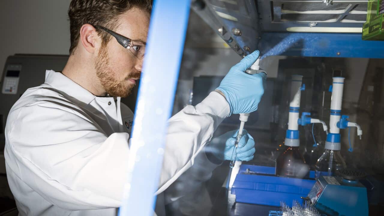 A forensic chemist in a lab prepares nitazene powder samples