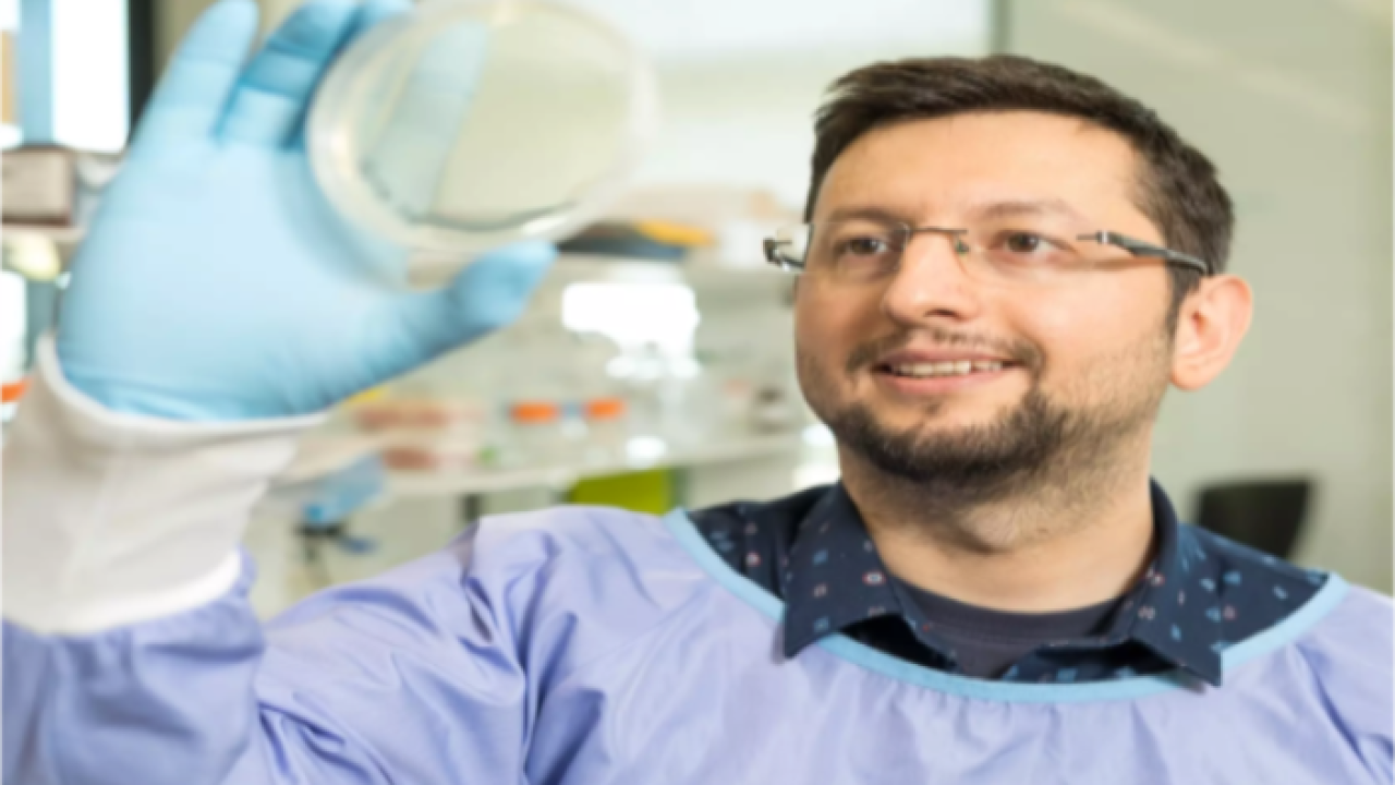 Image for read more article 'READ MORE'