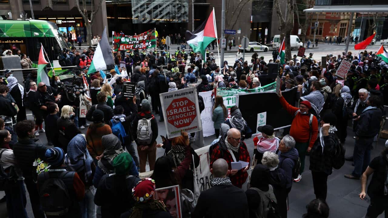 A large group of protesters, some are holding signs and some are waving Palestinian flags.
