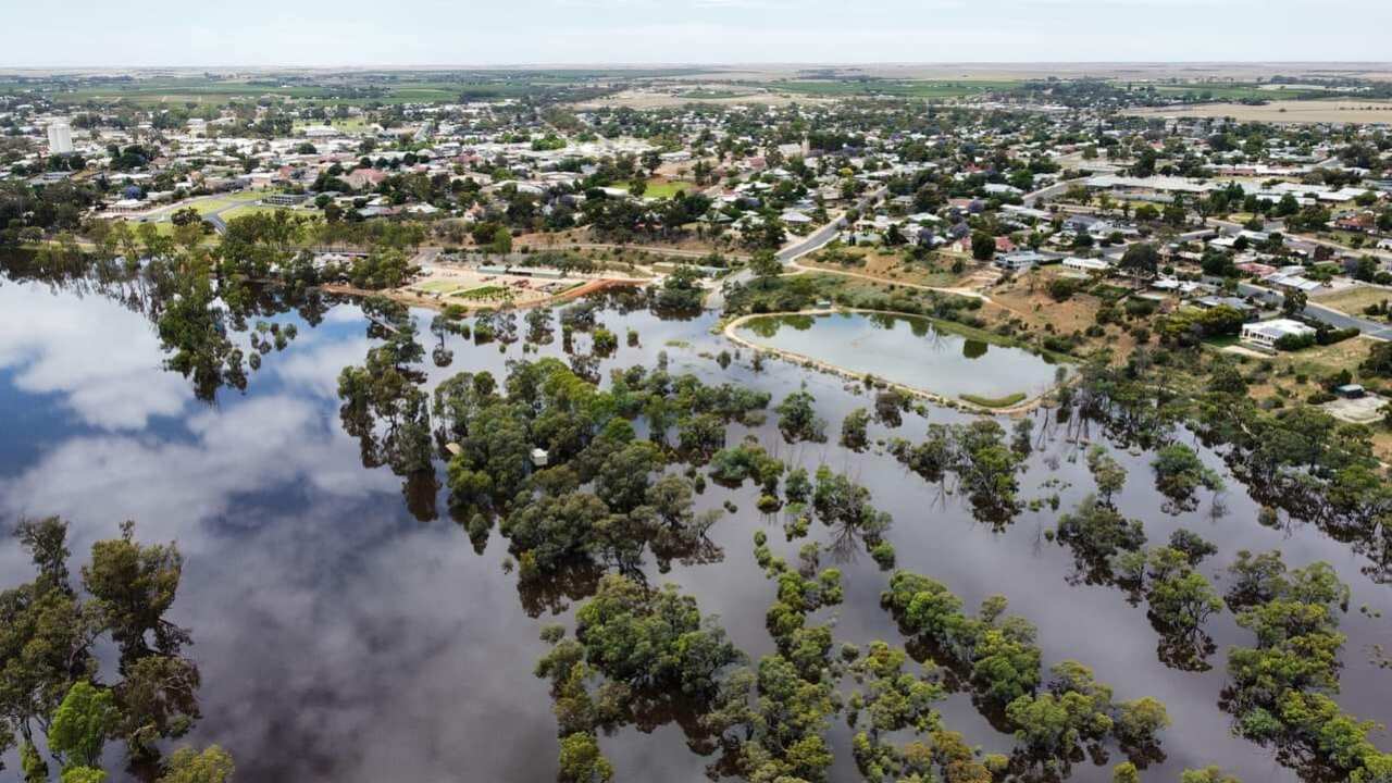 Treetops can be seen above floodwaters in South Australia.