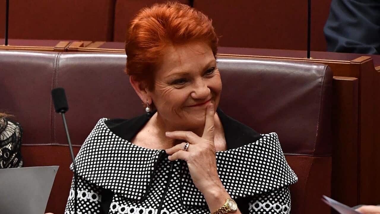 One Nation leader Senator Pauline Hanson before the vote.