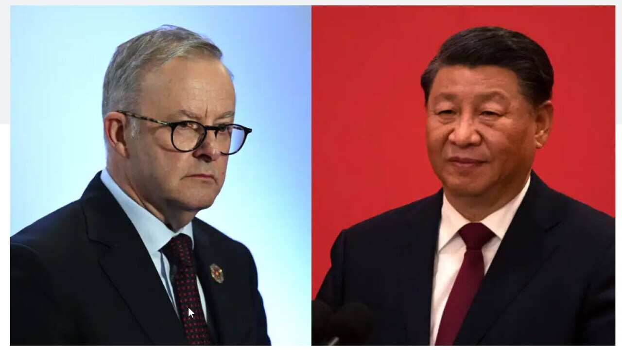 Albo- Xi.jpg