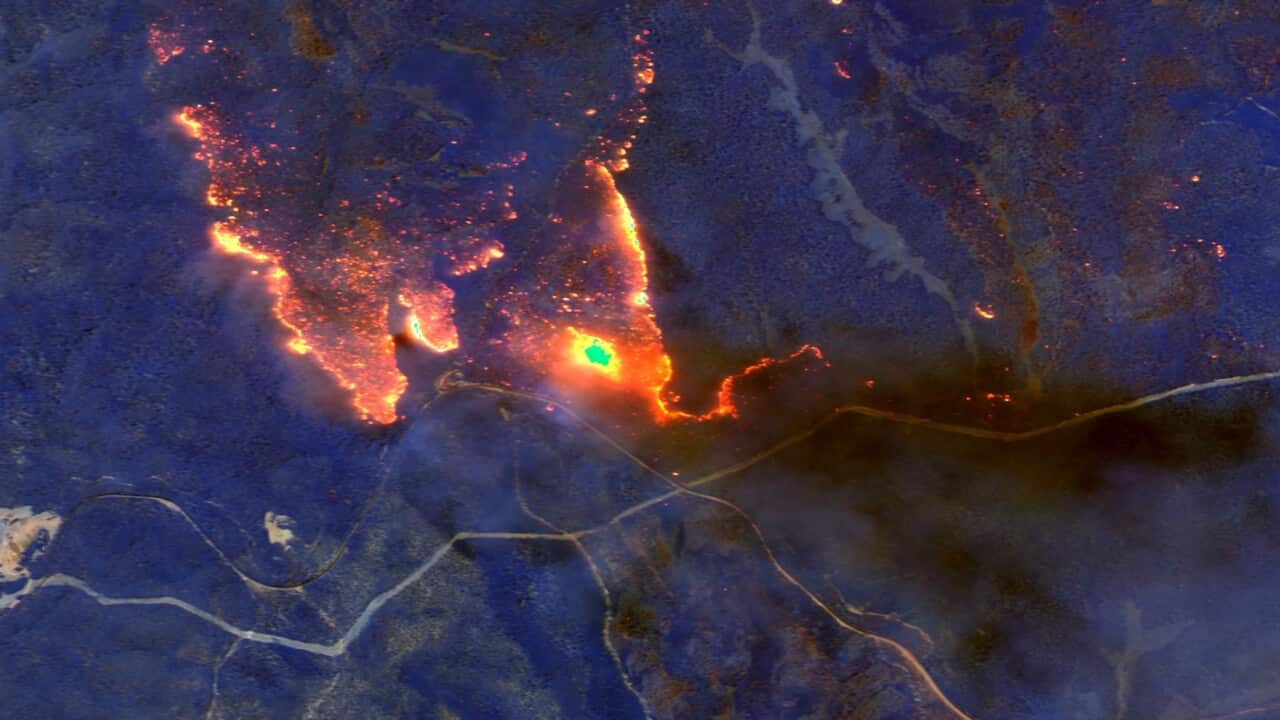 A satellite photo shows wildfires east of Orbost, Australia