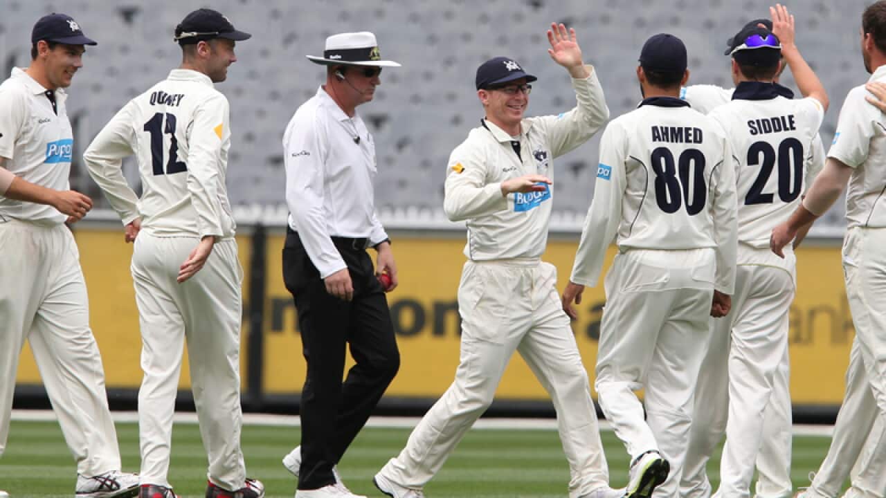 Victorian players celebrate after claiming a wicket