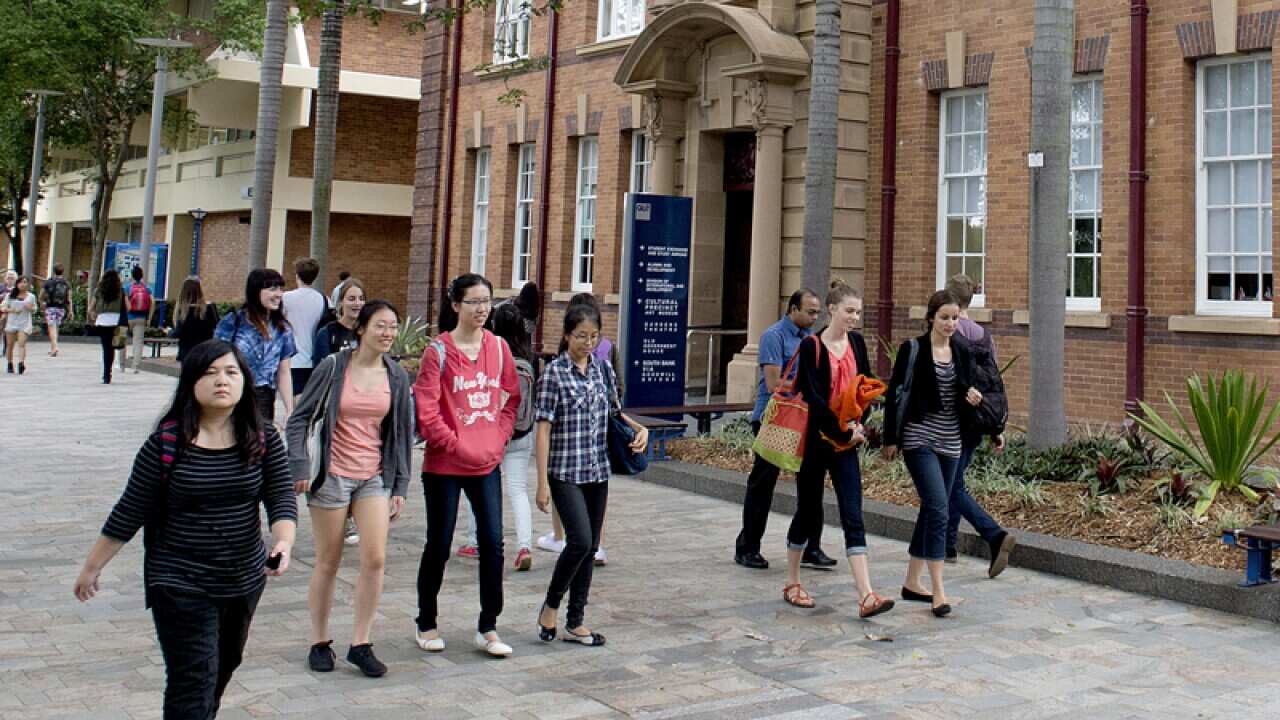 University students in Brisbane
