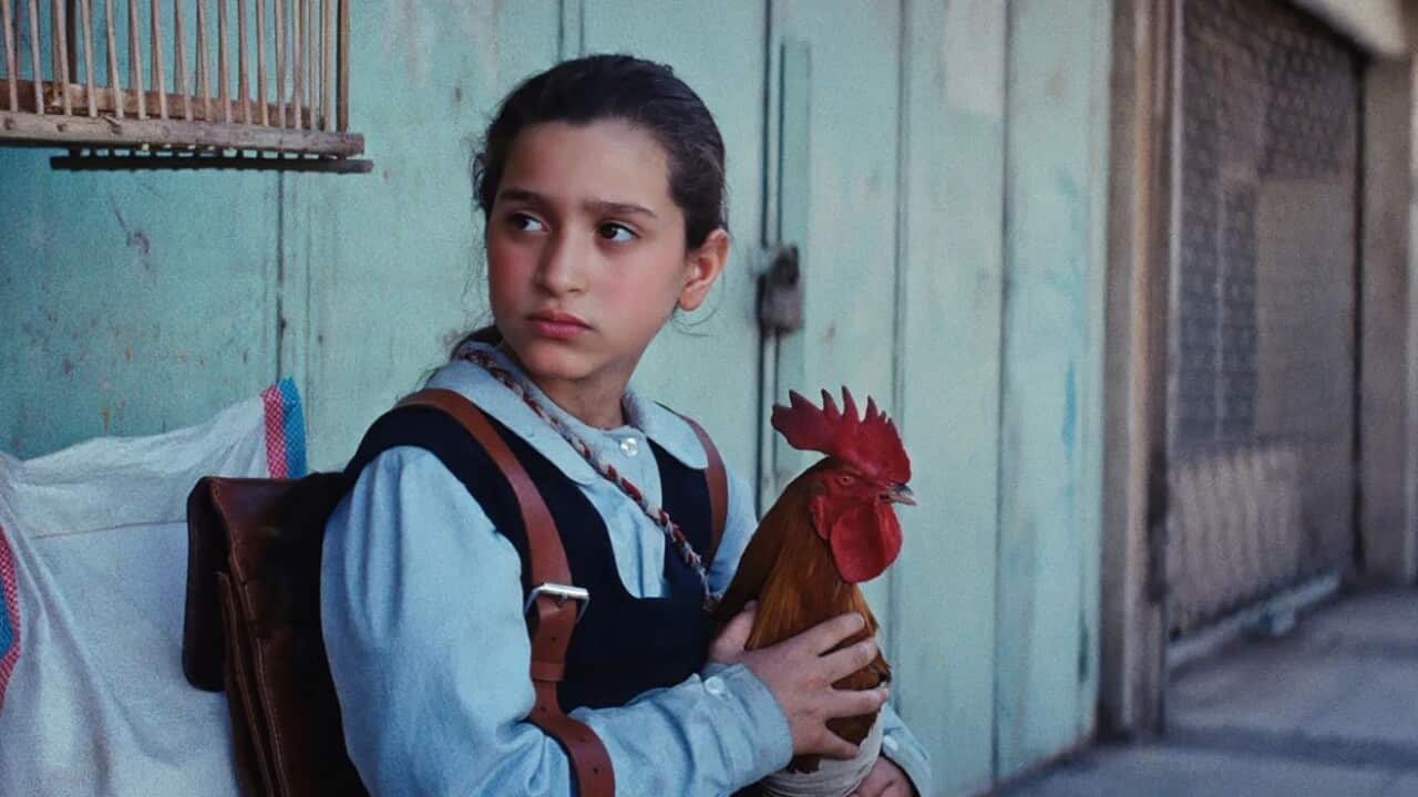 Presidents cake 1.jpg