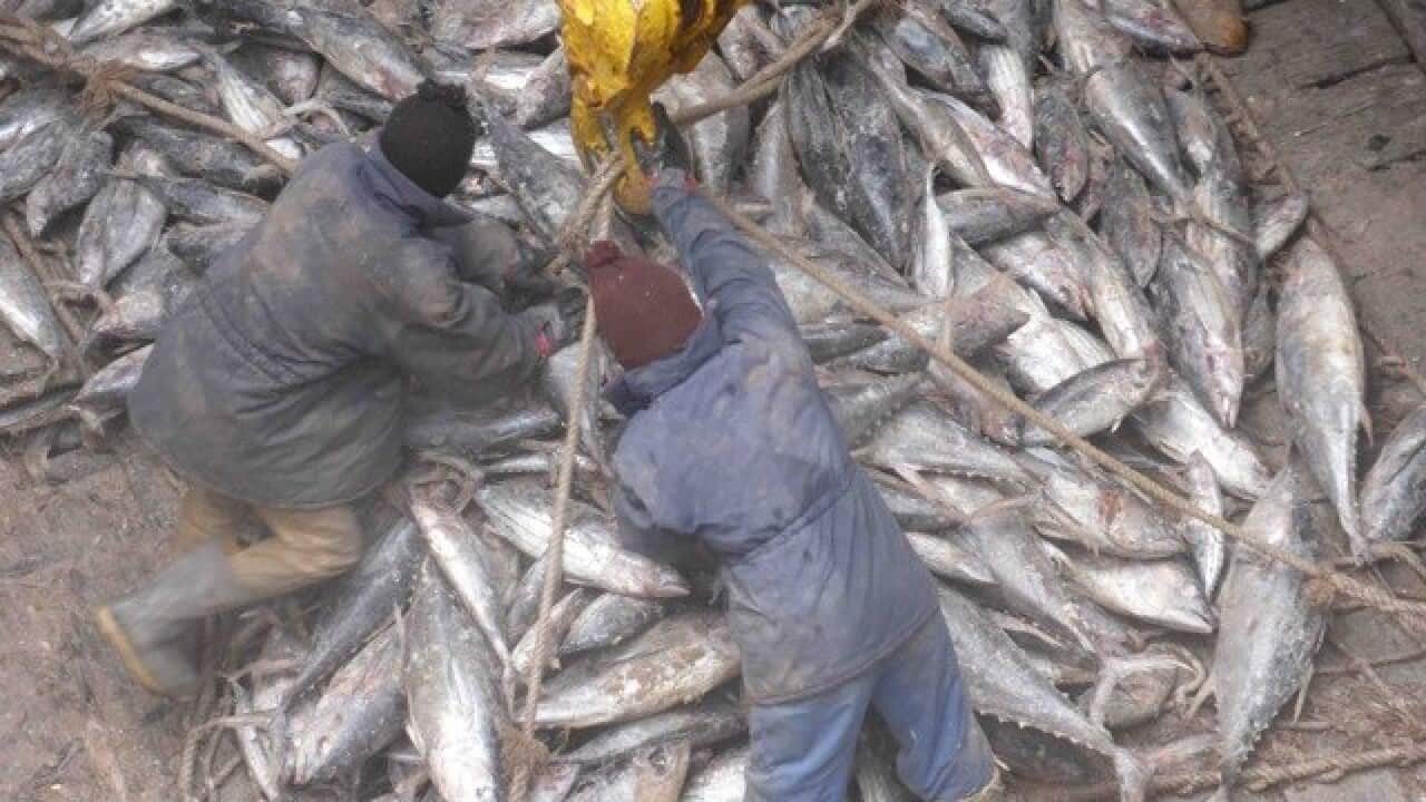 Image for read more article ''