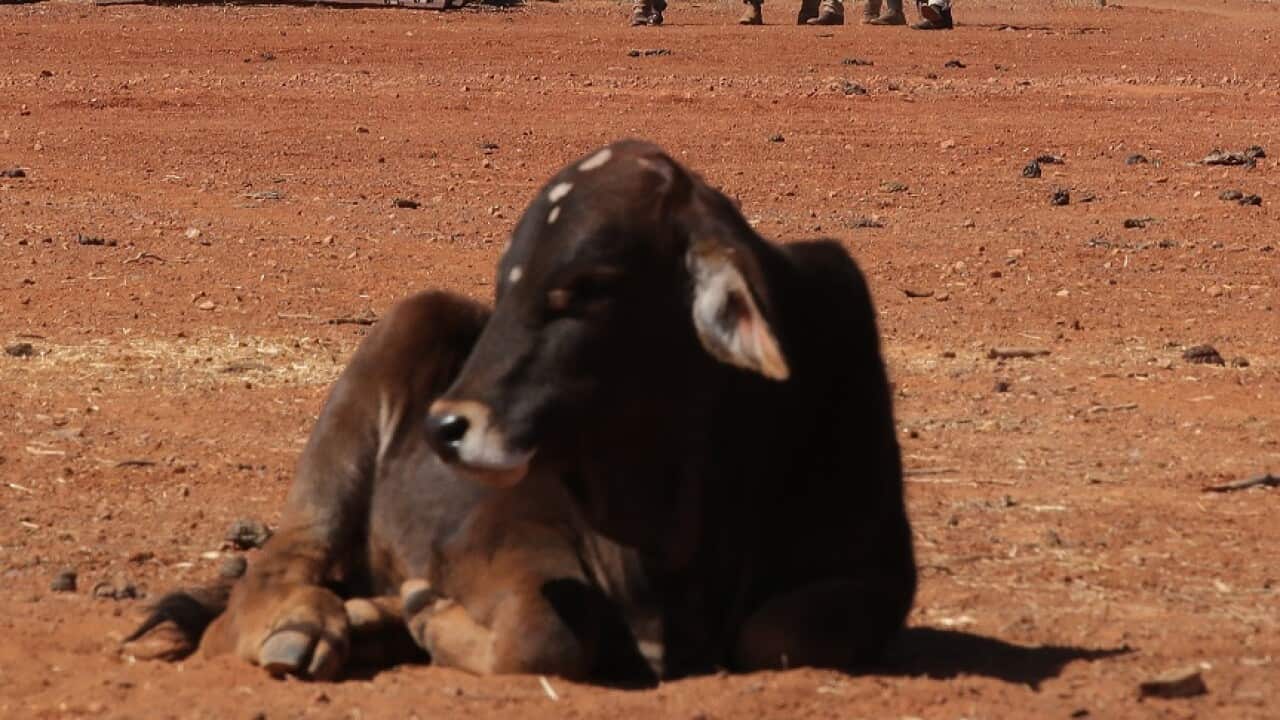 Questions are being raised about the charitable donations to drought-affected farmers.