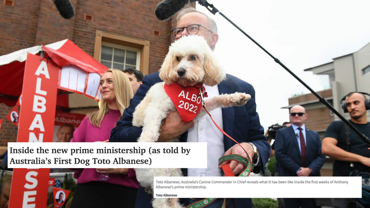 A picture of a man holding a dog with text overlayed.
