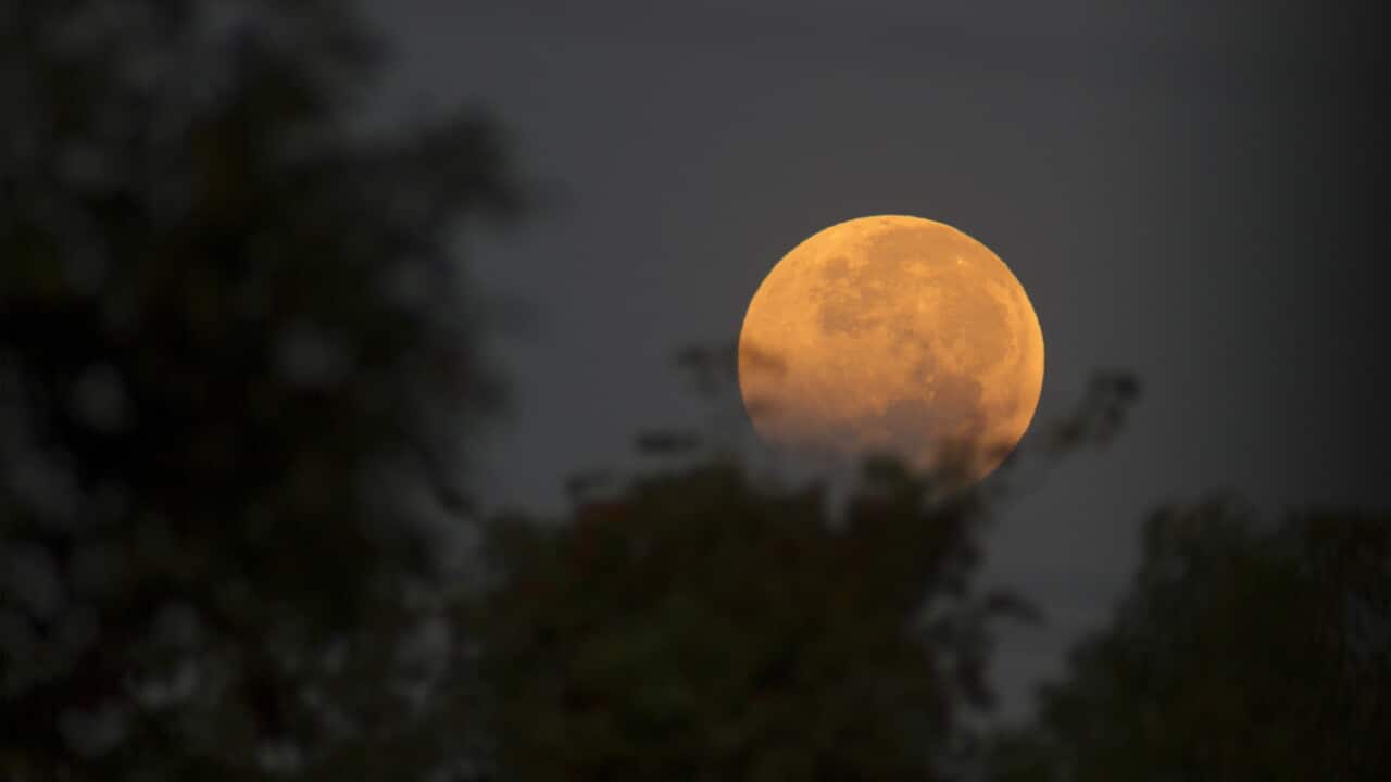 20141009001042659078-original.jpg