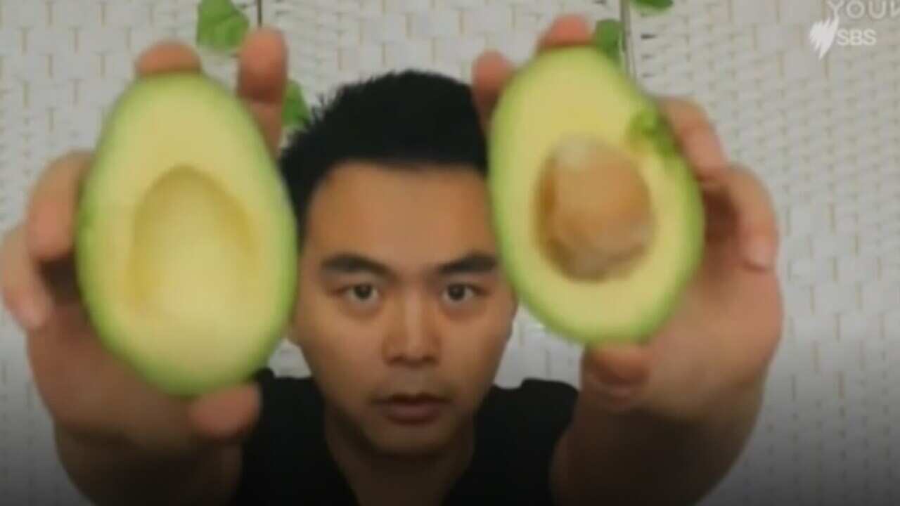 The popularity of avocados is growing in China.