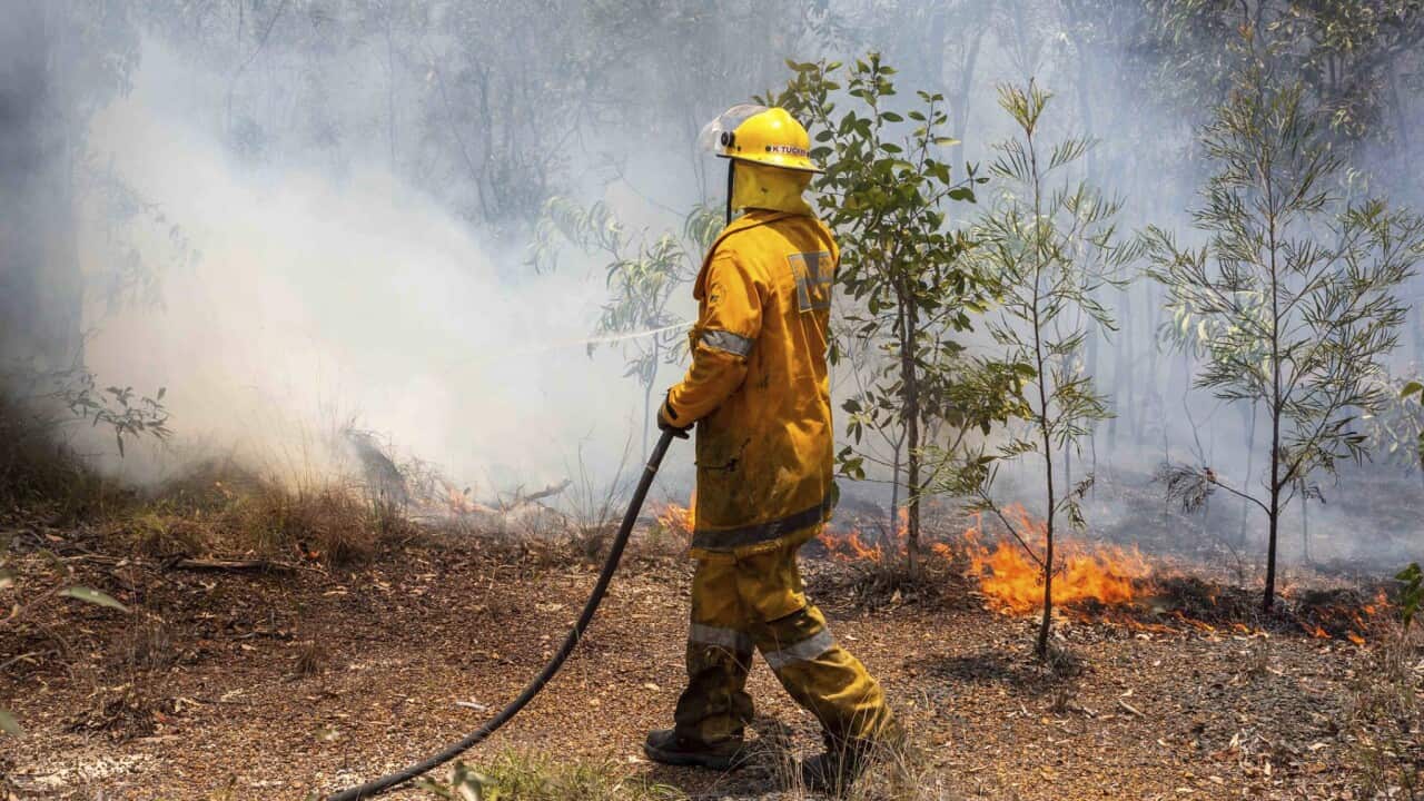 A firefighter works on a fire ground at Deepwater, near Bundaberg, Australia.