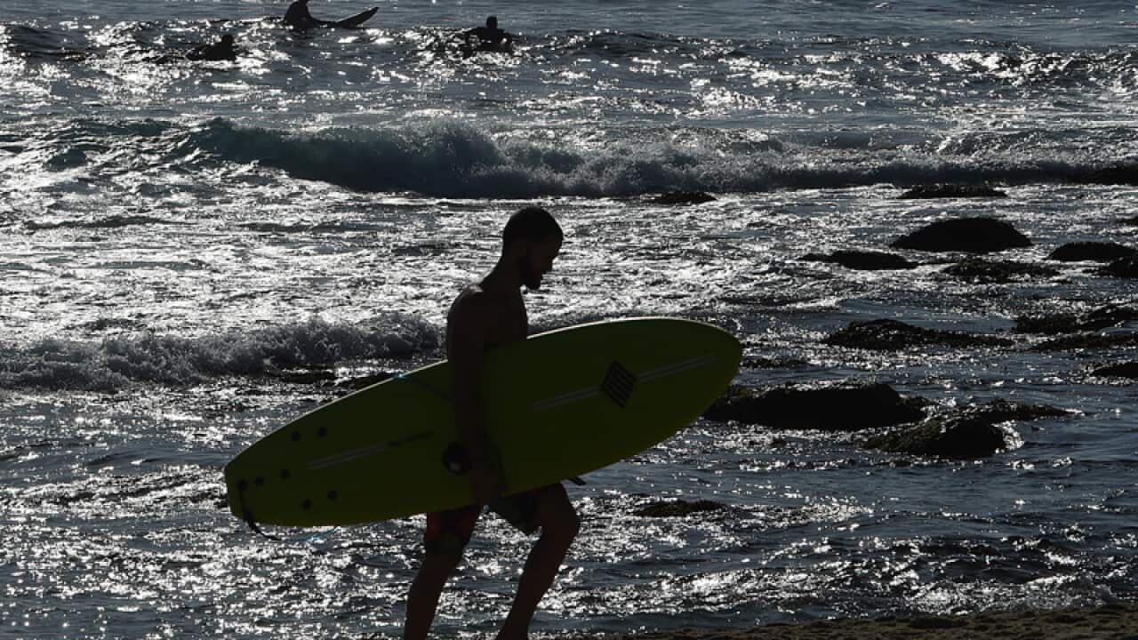 A surfer at Bronte Beach