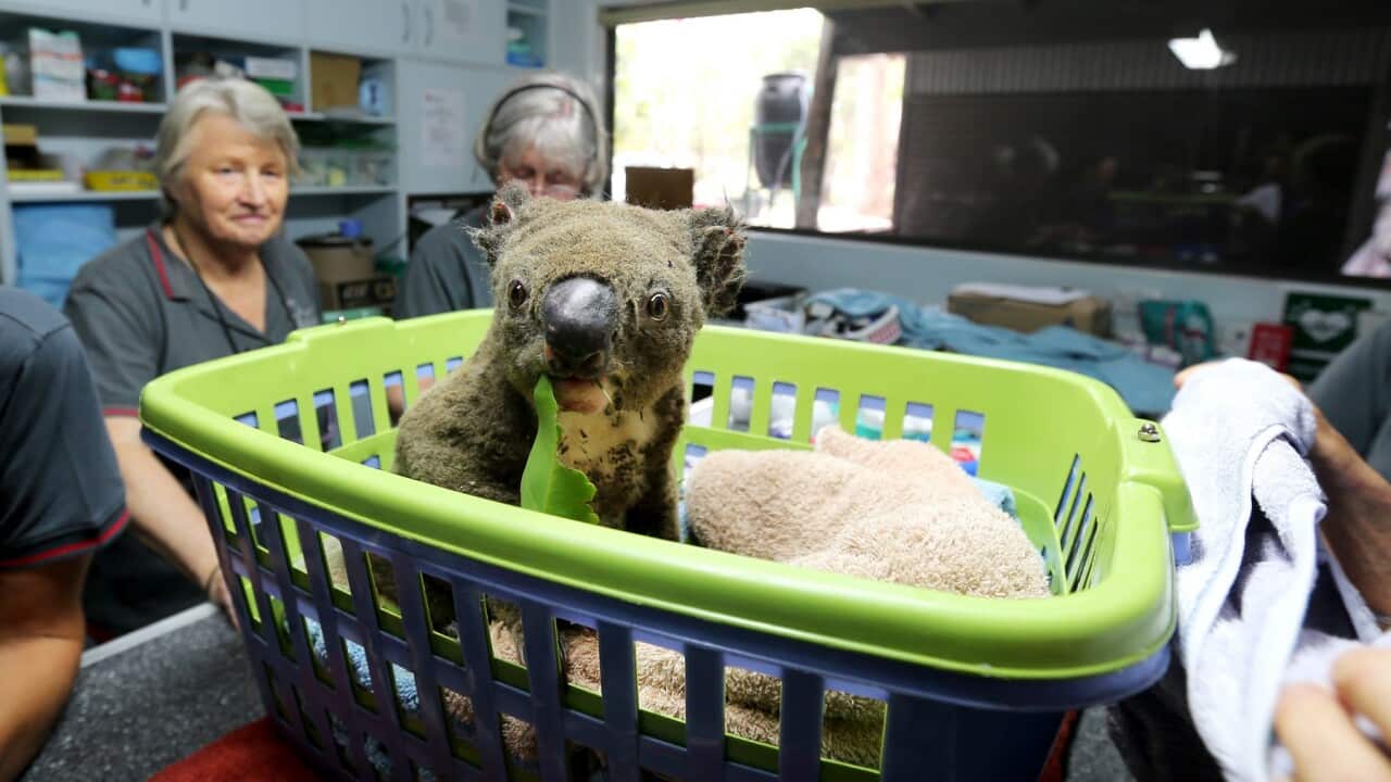 Image for read more article ''