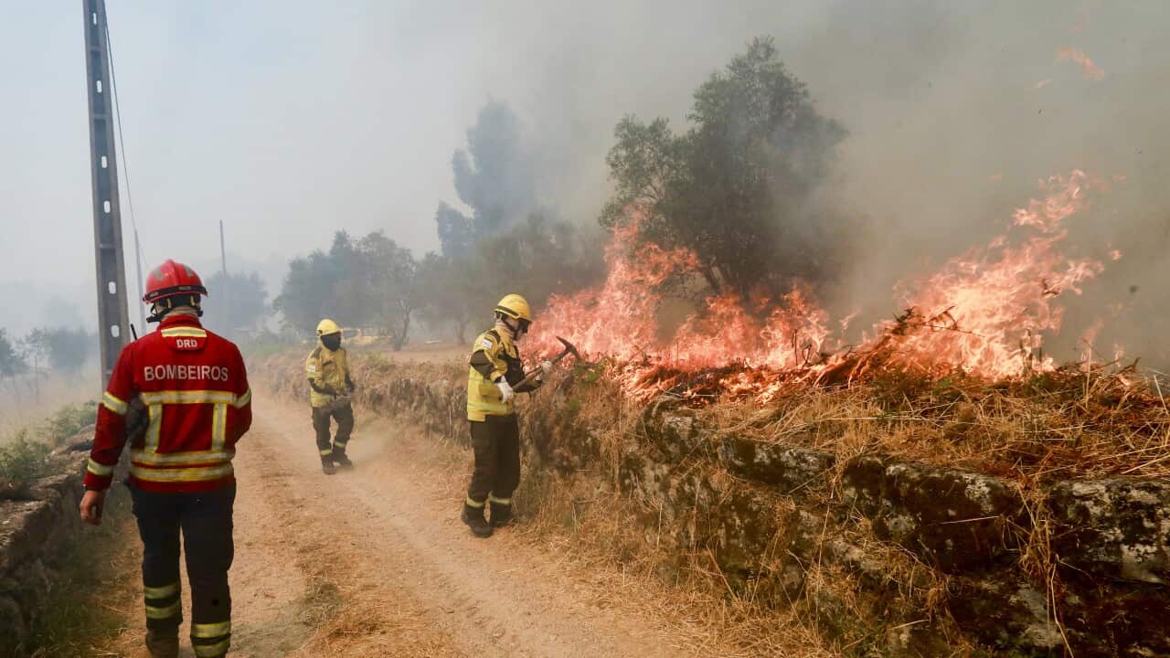 Forest fire in Portugal