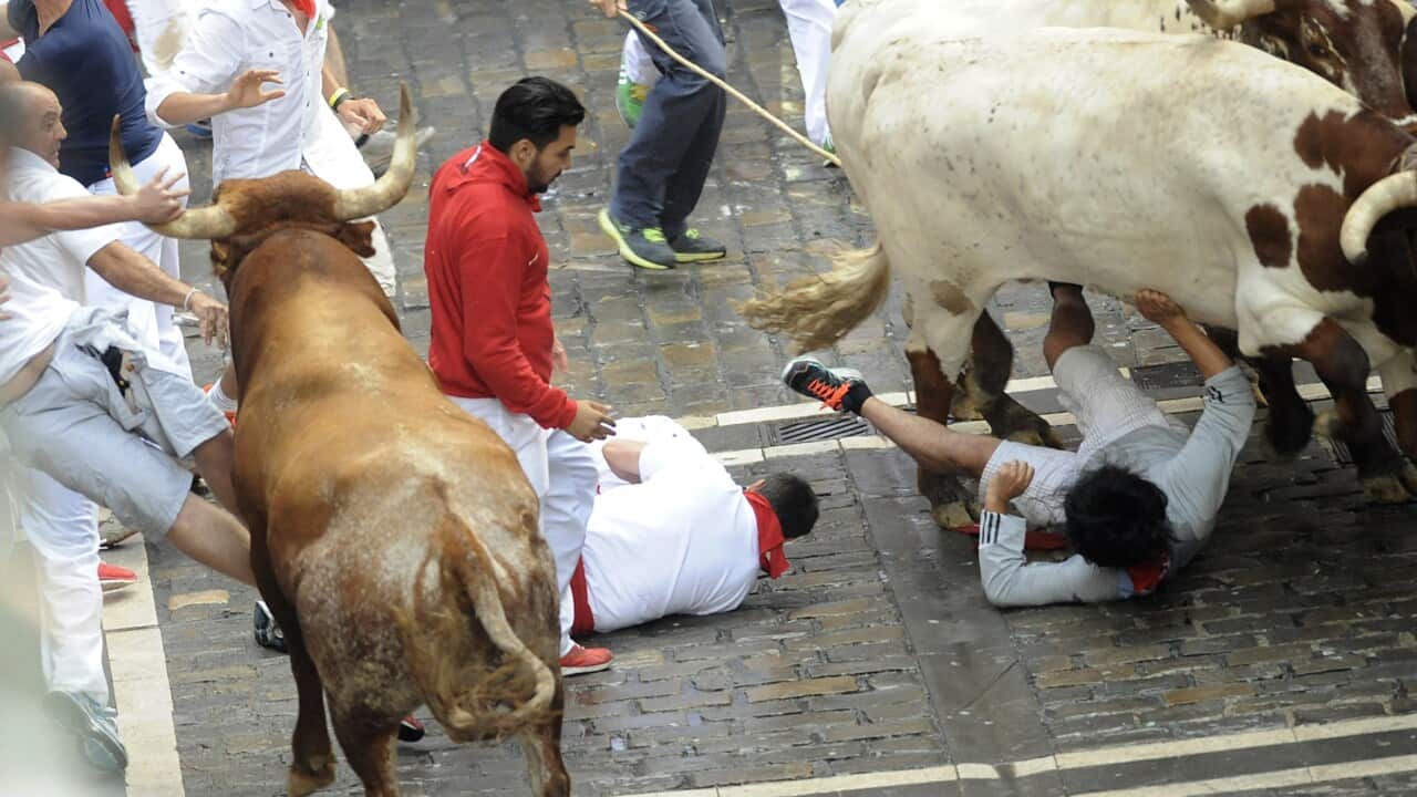 Running of the bulls in Pamplona, Spain. 