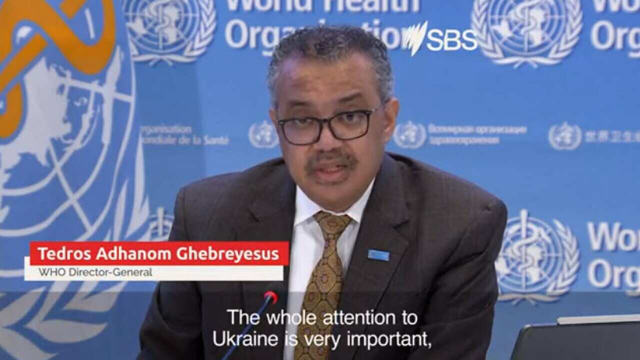 WHO chief says world treats crises differently depending on race
