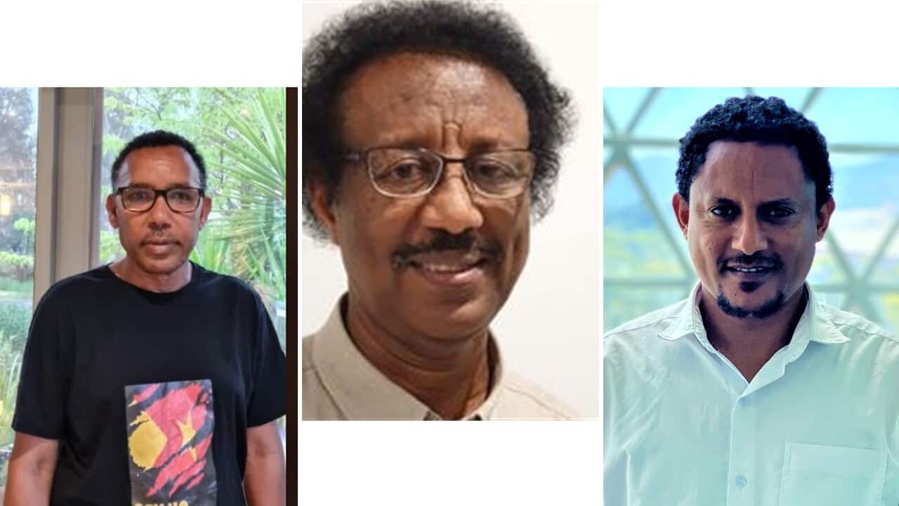 War in Tigray Ethiopia and the reaction of the community in Australia