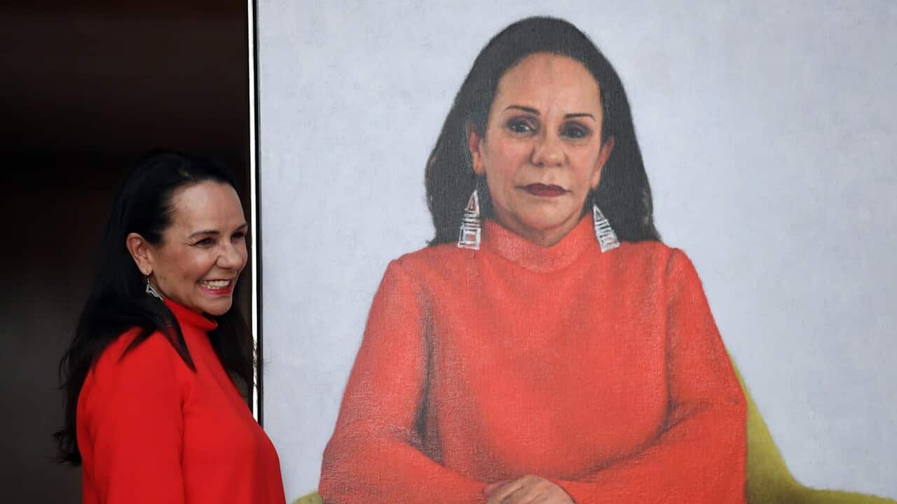 Labor Member for Barton Linda Burney unveils her portrait for The Historic Memorials Collection at Parliament House in Canberra, Wednesday, February 13, 2019. (AAP Image/Mick Tsikas) NO ARCHIVING