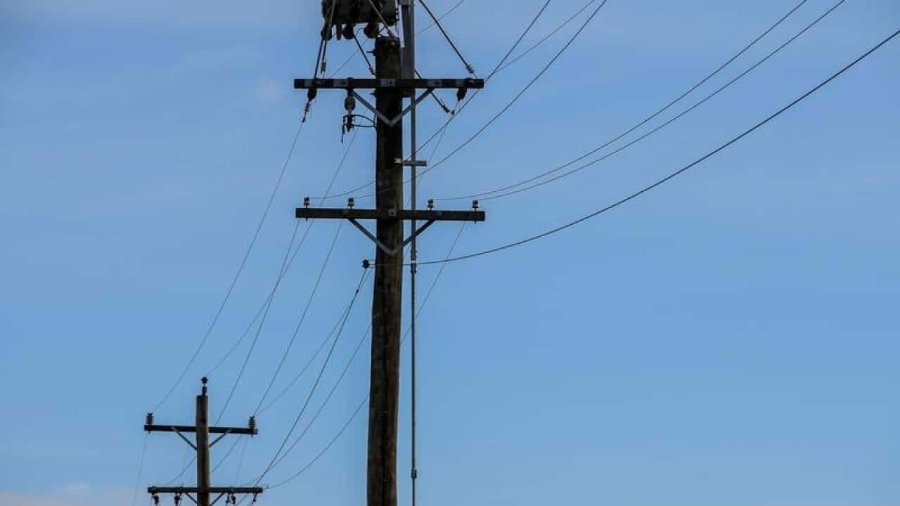 electricity power poles