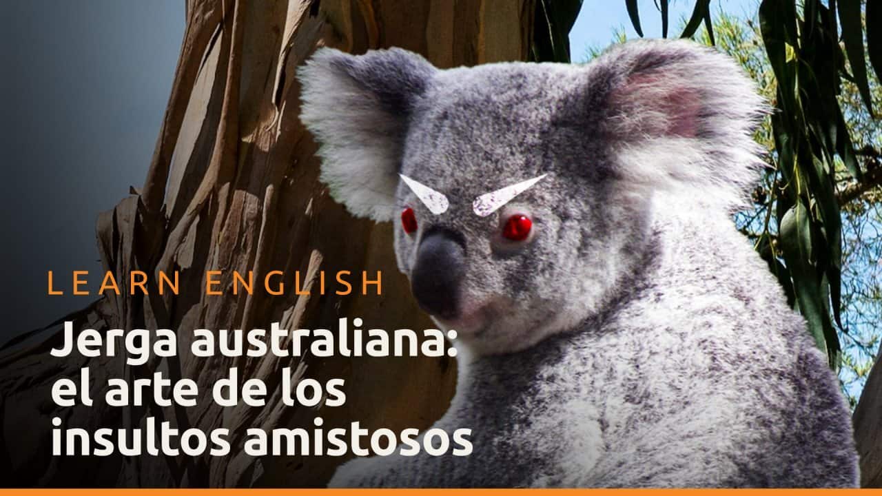 Jerga australiana: el arte de los insultos amistosos