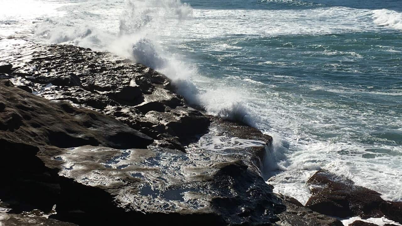 A new report has found the world's oceans are in crisis as extreme heat continues to threaten marine life with profound consequences.