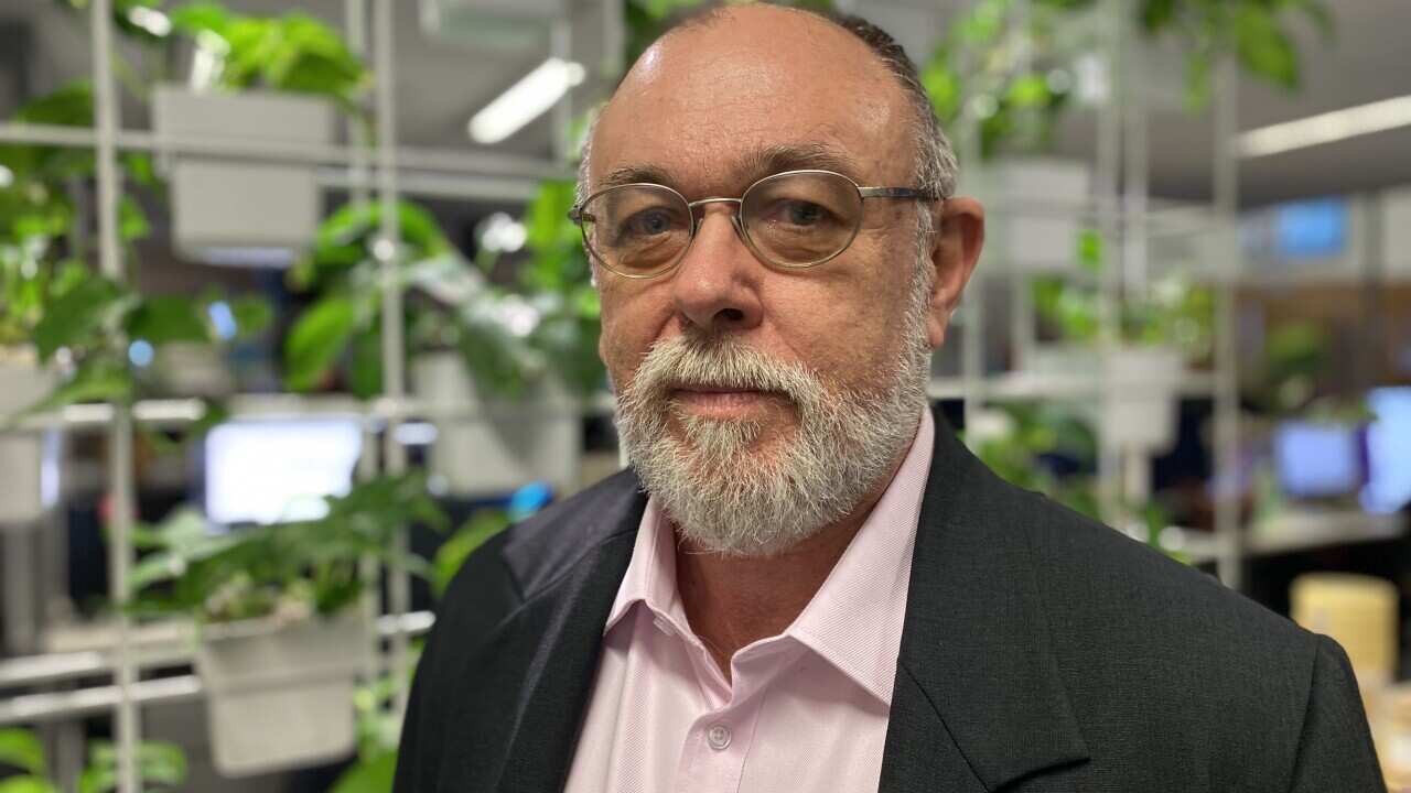 Angus Witherby is a city planner who says he can't afford to retire - SBS Insight .jpg
