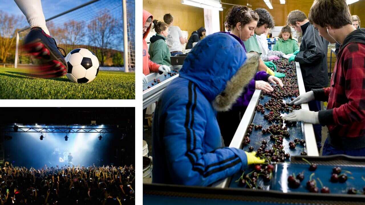 farmers’ and sports visa