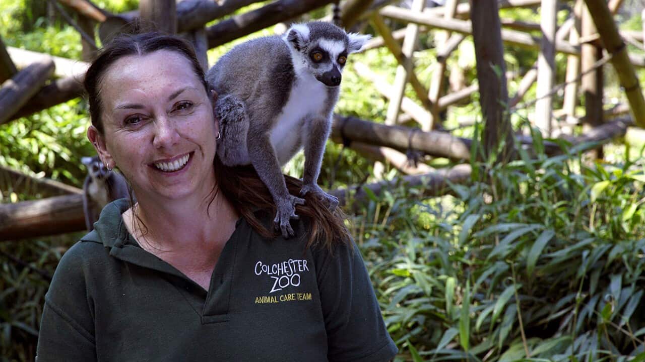 Zoo Mum - Sarah Forsyth with lemur