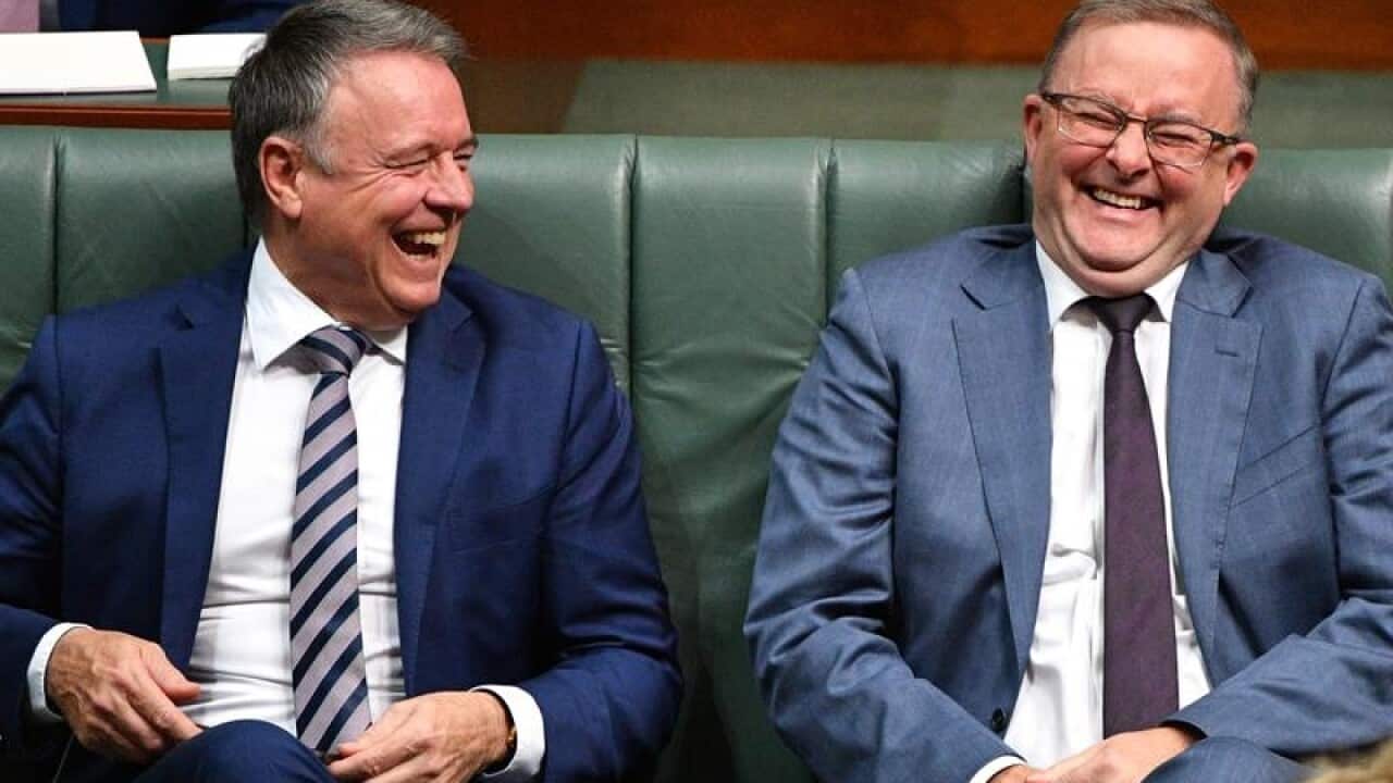 Labor's Joel Fitzgibbon and Anthony Albanese during question time.