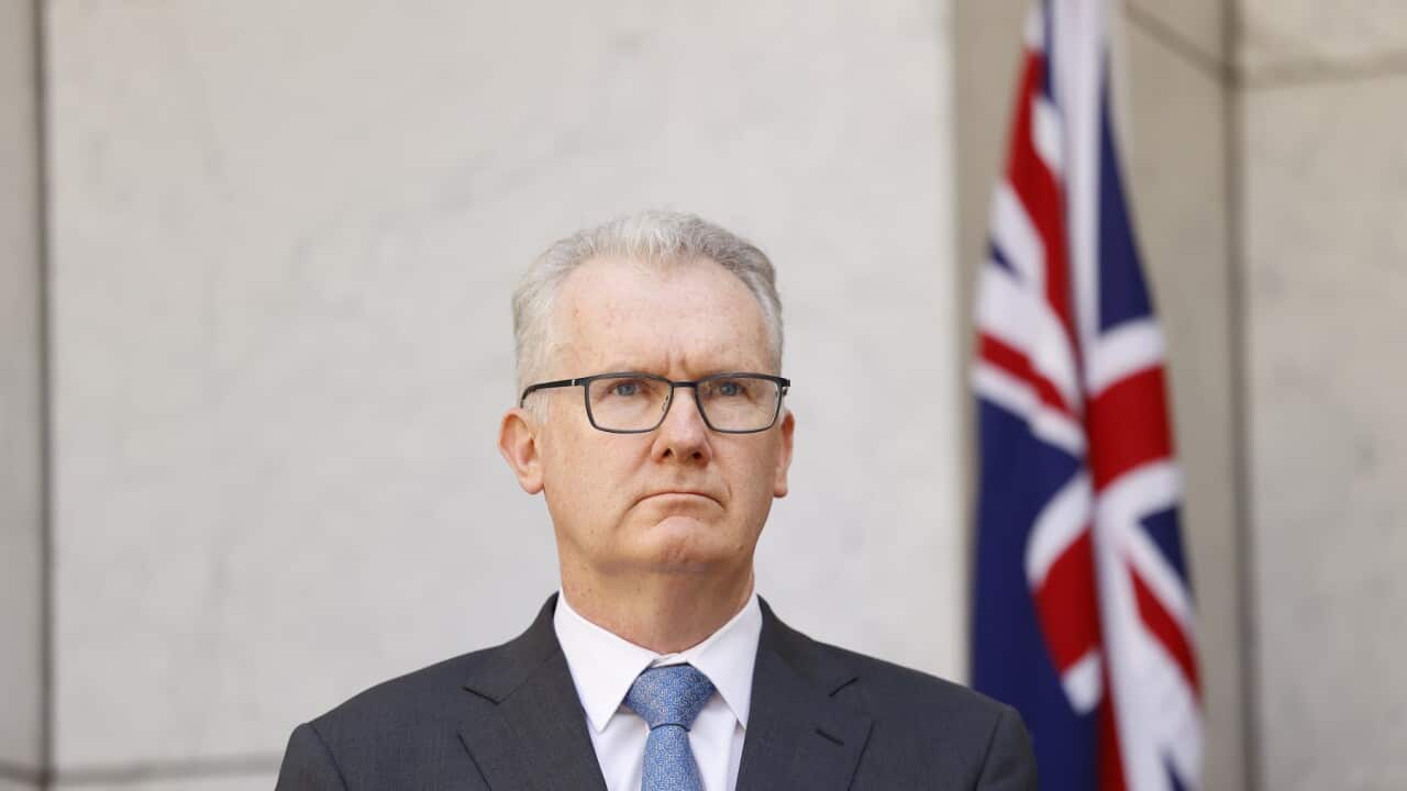 Australia's Prime Minister Albanese Holds Press Conference