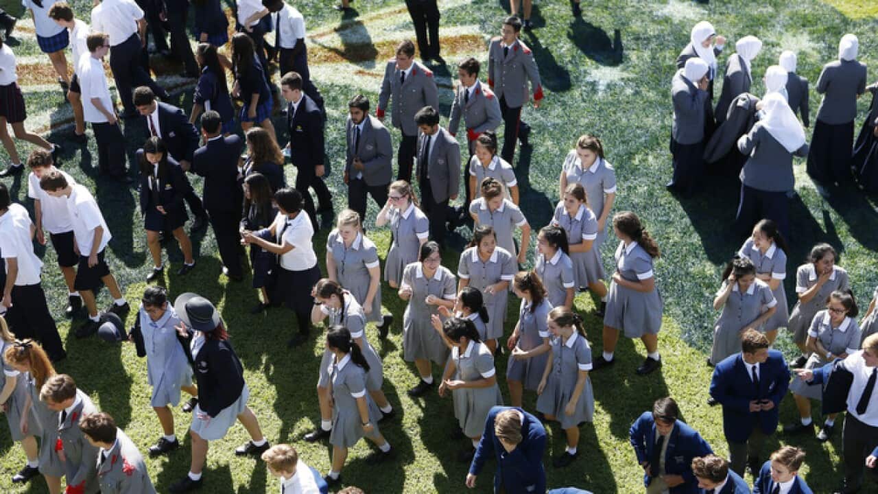 safe school, australia, gender