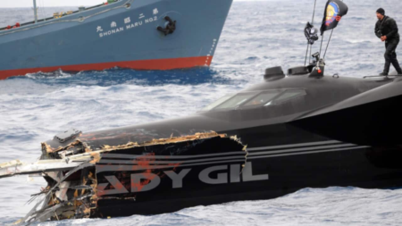 whaling_clashes_L_100401_aap_1588175419