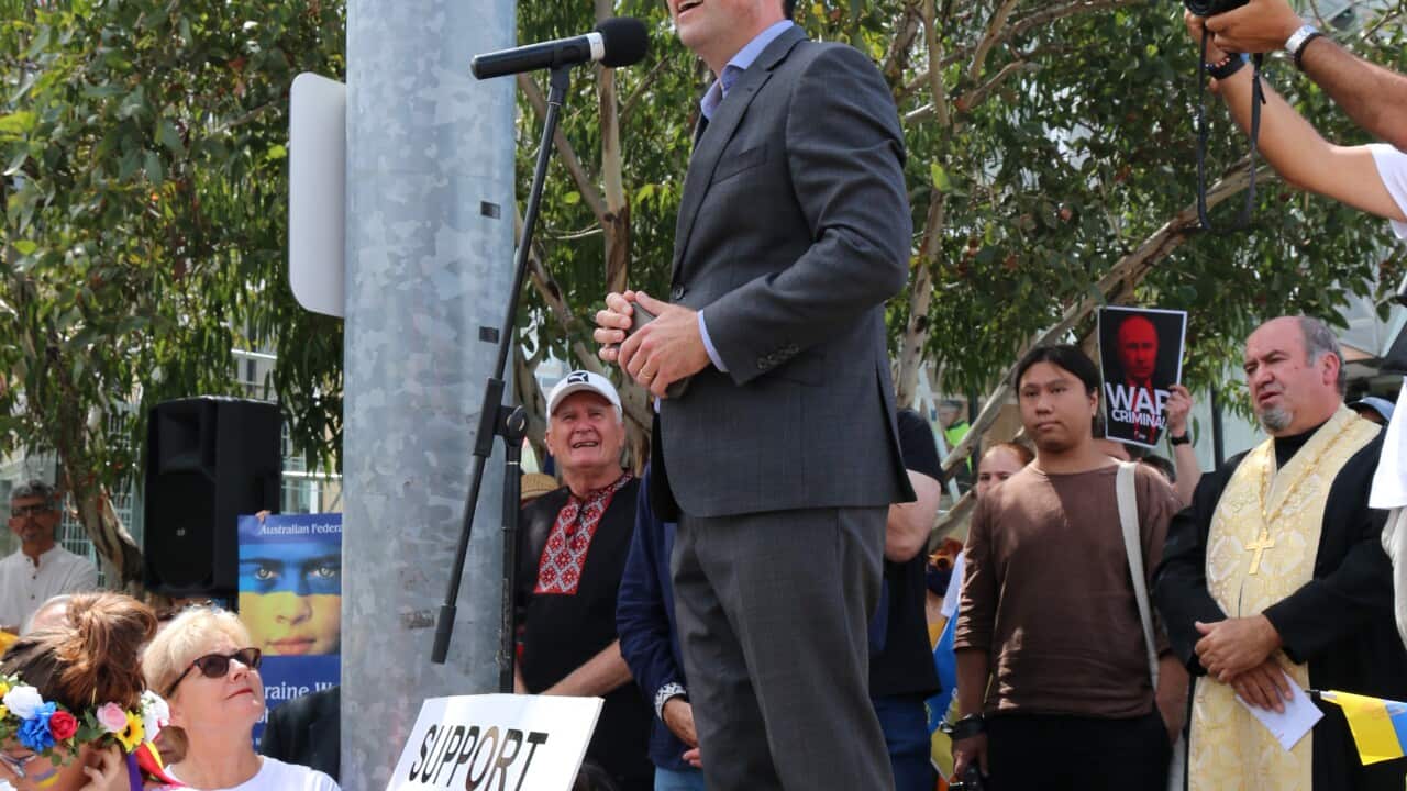Victorian Liberal Leader Matthew Guy about war in Ukraine