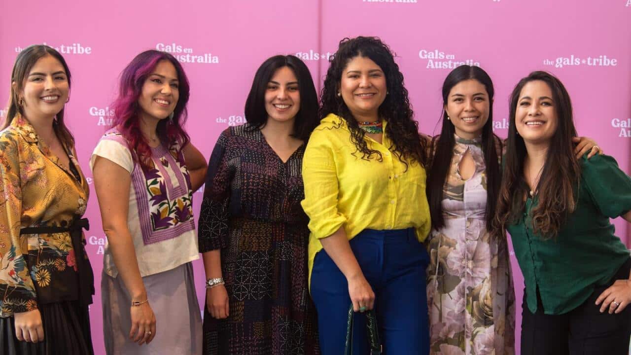 WhatsApp Image 2025-04-01 at 4.48.10 PM.jpeg