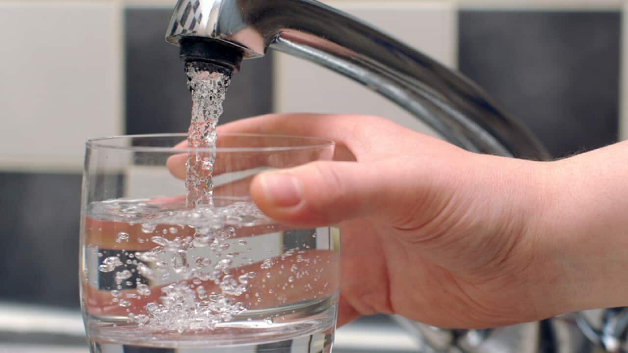 A person fills a cup of water