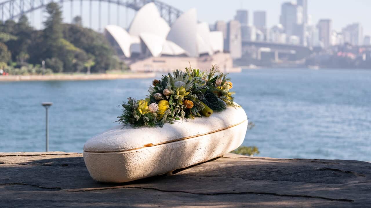 MUSHROOM COFFIN